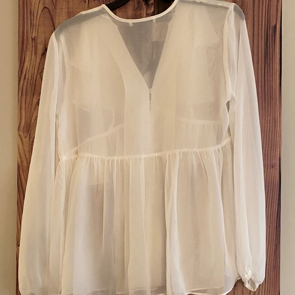 Sheer Blouse - Picture 5 of 5